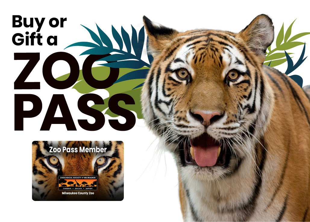 Zoo Pass Intro Image