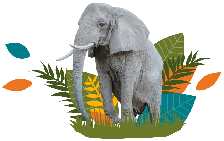 Elephant Decorative Image