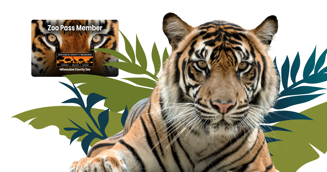 Zoo Pass And Membership