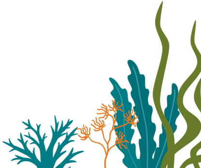 Seaweed Background