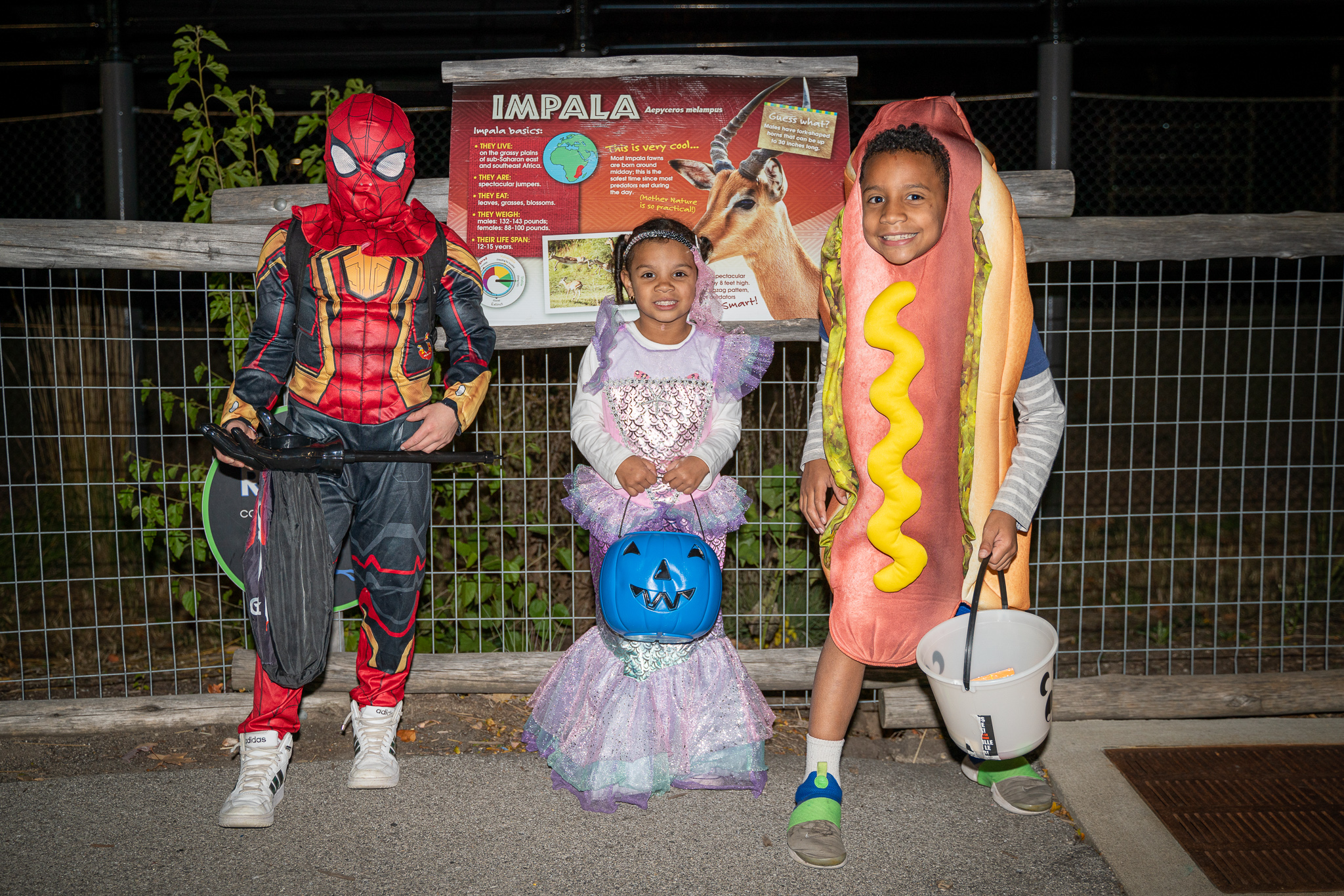 Halloween costumes at Boo at the Zoo