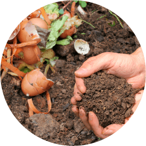 Conservation Education Composting