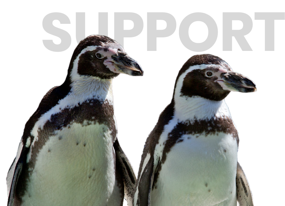 Support Penguins