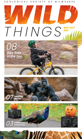Wild Things: September-October 2021