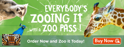 Everybody's Zooing It with a Zoo Pass! | Order Now and Zoo it Today!