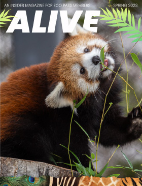 Spring 2023 Issue Of Alive Magazine