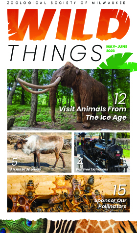 May-June 2023 Issue Of Wild Things Newsletter