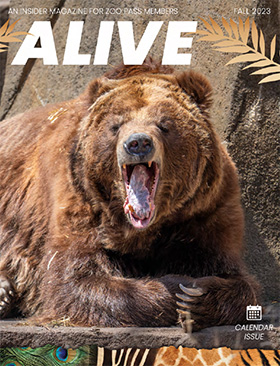 Fall 2023 Issue Of Alive