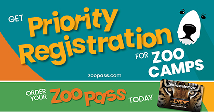 Get Priority Registration for Zoo Camps -- Order Your Zoo Pass Today
