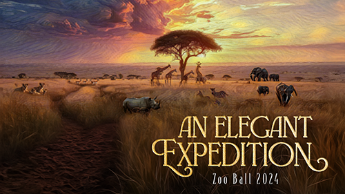An Elegant Expedition: Zoo Ball 2024