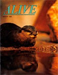 Alive Magazine: Winter 1989