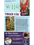 Wild Things Newsletter: November 2017