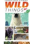Wild Things Newsletter: November 2020